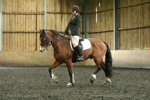 Isis Dressage Crown Farm Show 29th April 2012